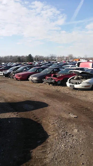 Paul's Auto Yard 5