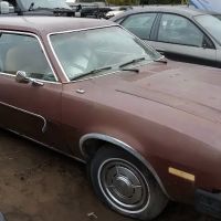 Paul's Auto Yard