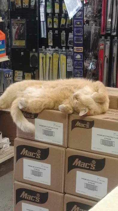 NAPA Auto Parts - Classic City Automotive Inc 6