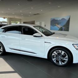 Audi Lansing Service ico