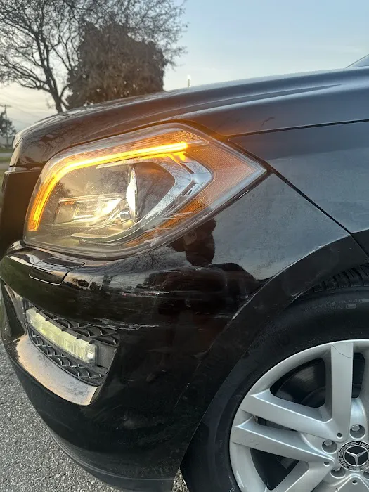 Dent Eliminators 0