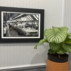 Northern Auto Repairs ico