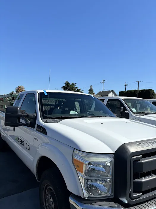 Bay Area Auto Glass 3