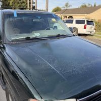 Local Auto Glass