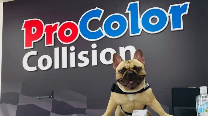 ProColor Collision 9