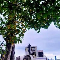 Wisconsin Muscle Car Parts