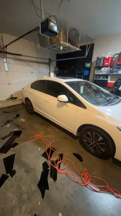 MTints 1