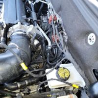 Bay Ridge Volkswagen Service & Parts
