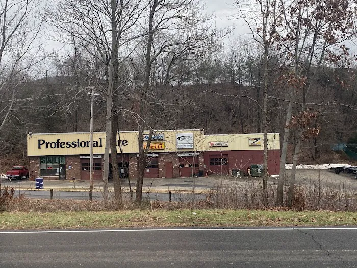 Professional Tire 1