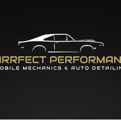 Purrfect Performance ico