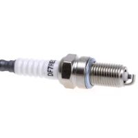 Spark Plug Automotive