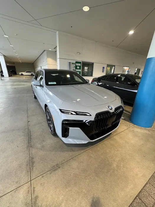 PREMIUM AUTO BODY 5