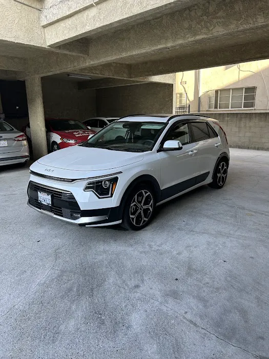 PREMIUM AUTO BODY 6
