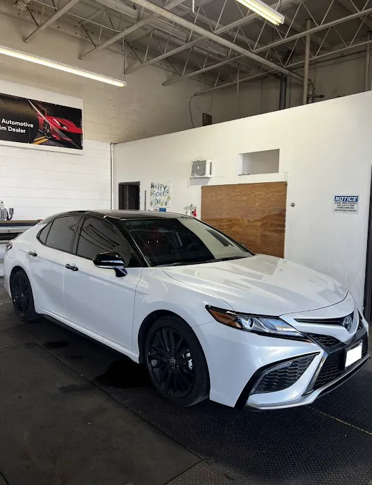 next level tint 2