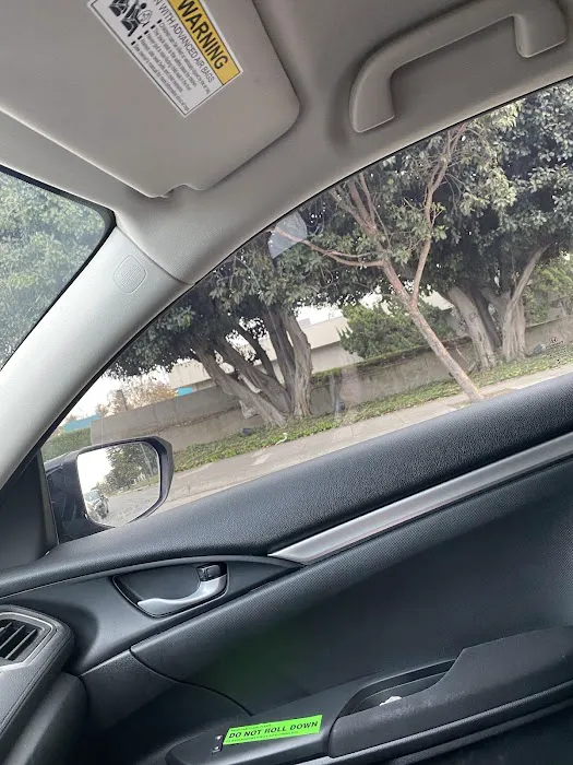 next level tint 6
