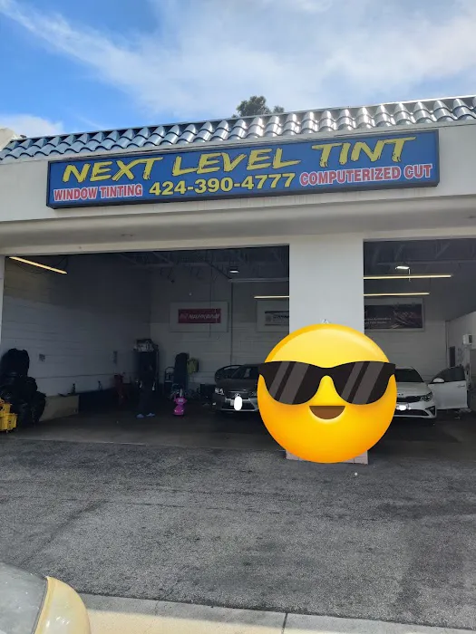 next level tint 9