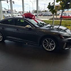 Audi Pacific Service Center ico