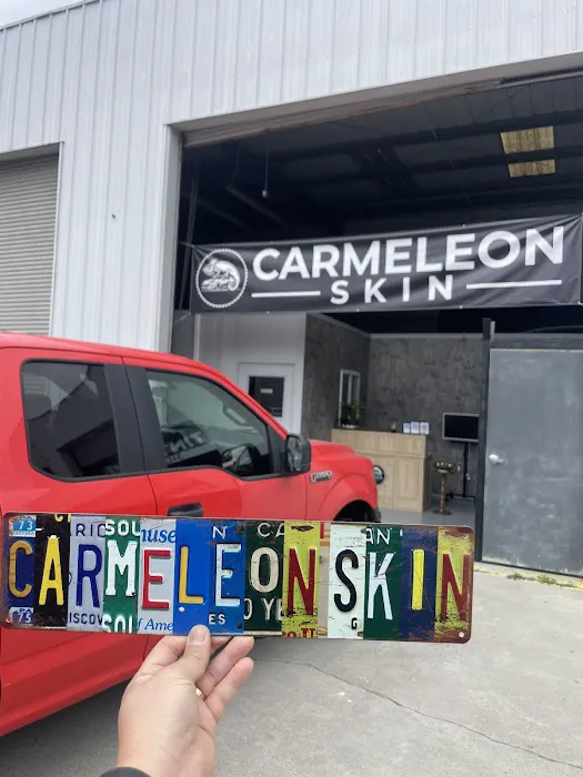 Carmeleon Skin Window Tint 1