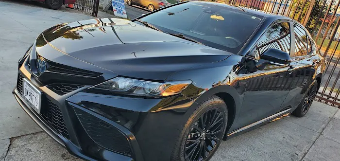 Vernon Window Tint 5