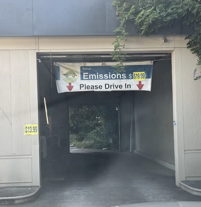 Sonuz Emissions 1