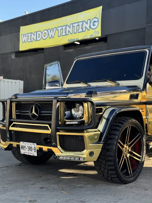 Tint Gods 9