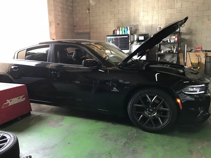 Xact Dyno 7