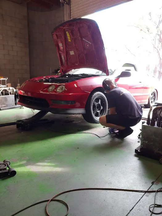 Xact Dyno 6
