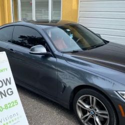 Tint Visions Window Tinting ico