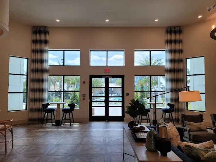Tint Visions Window Tinting 6