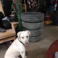 K C Auto Repair