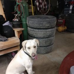 K C Auto Repair ico