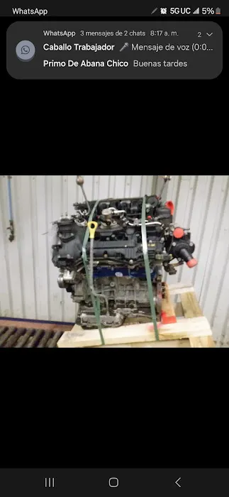 Luis Speed Shop 6