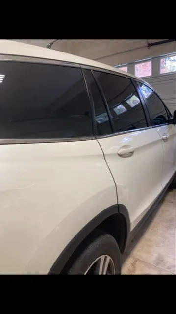 Phantom Cat Auto Tint 3