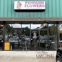 Ozone Window Films (Salem Office)