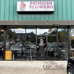 Ozone Window Films (Salem Office) ico