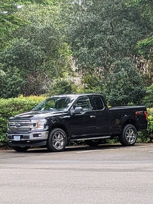 Skyline Ford Parts 0