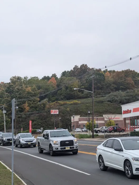 AutoZone Auto Parts 3