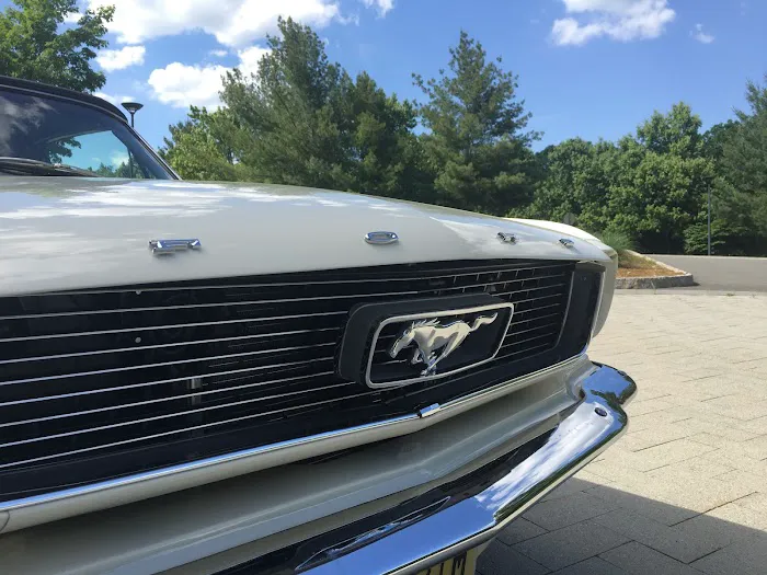 Blue Sky Performance and Restoration 0