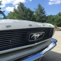 Blue Sky Performance and Restoration