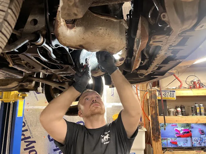 The Subie Lab LLC 3