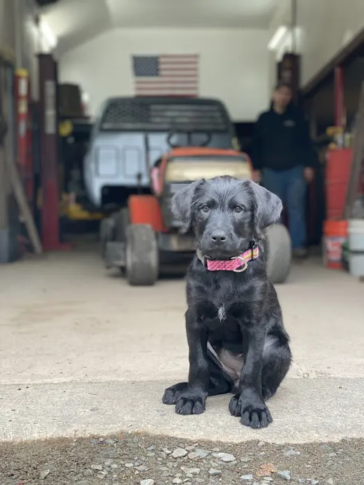 Hayden's Auto Repair 2