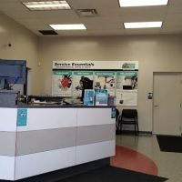 Mavis Discount Tire
