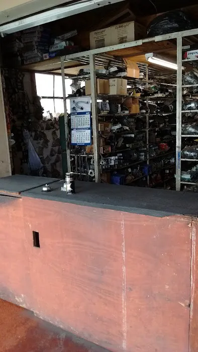 Zapotlan Auto Electric 1