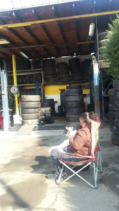 pro tire and auto repair 7