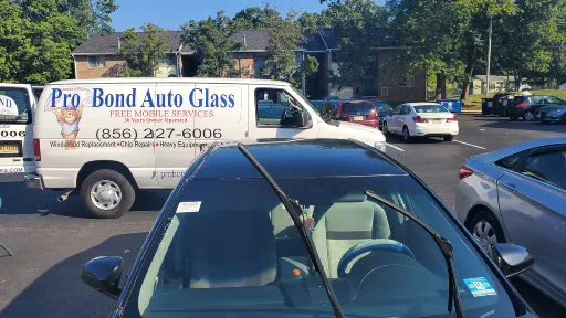 Pro Bond Glass Works 0
