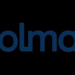 Holman Upfitting ico