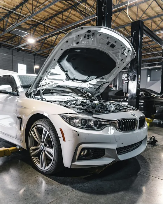 Werkstatte BMW ONLY automotive 8