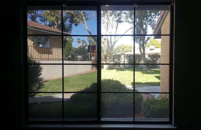 Sudden Shade Tinting 7
