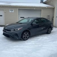 Custom Auto Collision & Paint