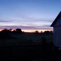 Truesdell Farm Parts